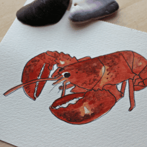 watercolor painting lobster