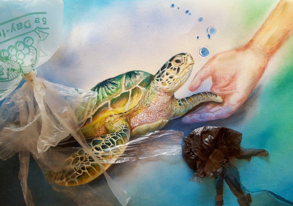 "Untitled" by Hesu Song (California), a colored pencil drawing of a person reaching for a sea turtle trapped in plastic