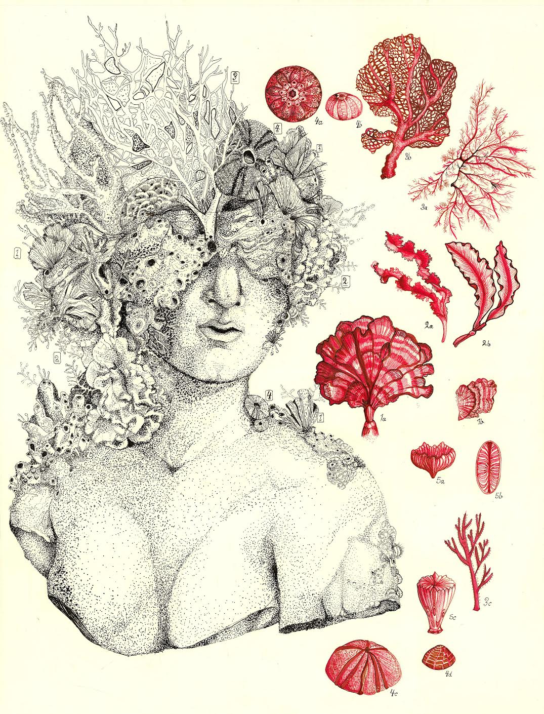 Artwork by Gwenan Walker Artwork by Gwenan Walker