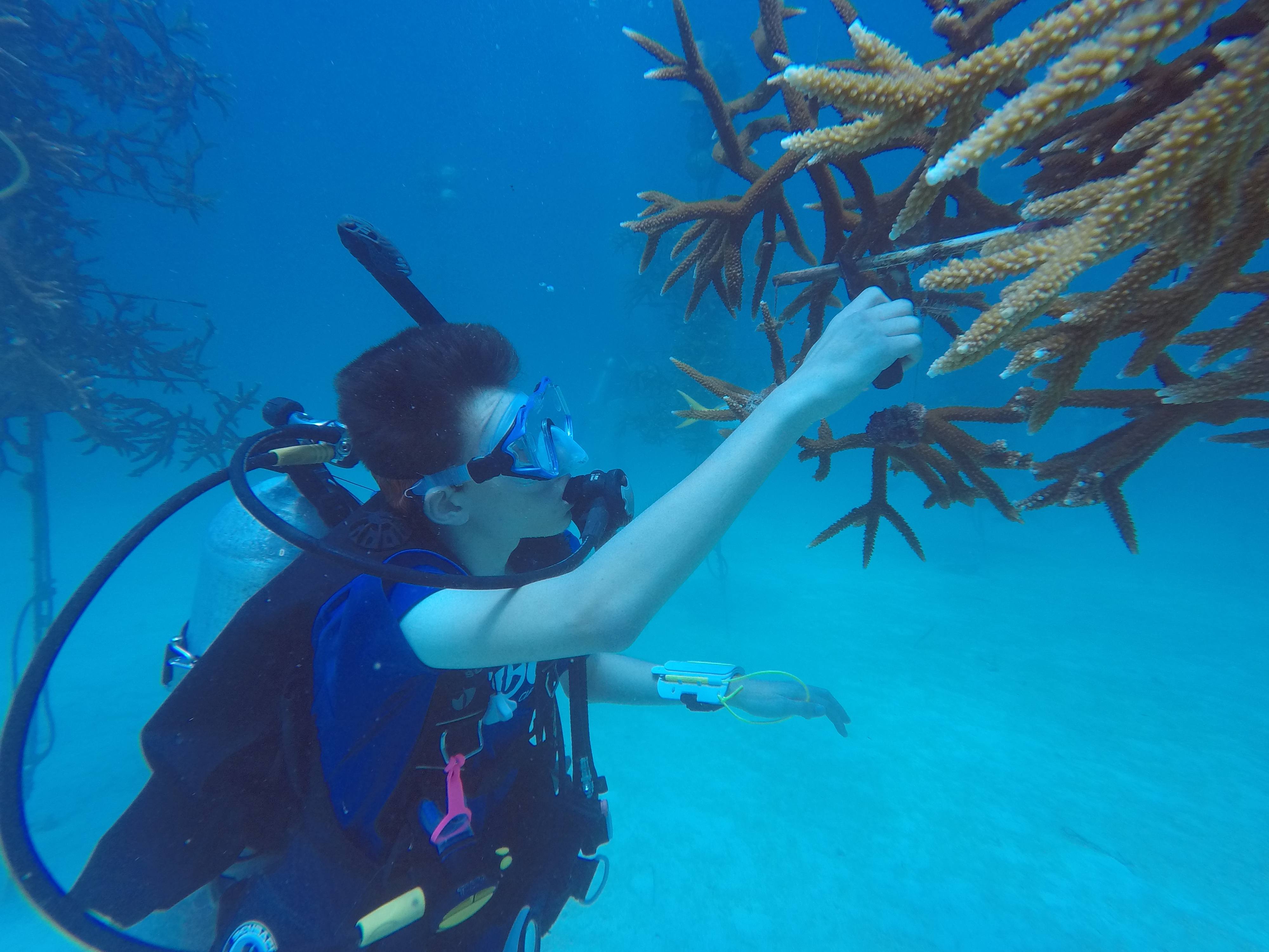 Bow Seat Supports Florida Marine Ecology Expedition Scholarship Bow