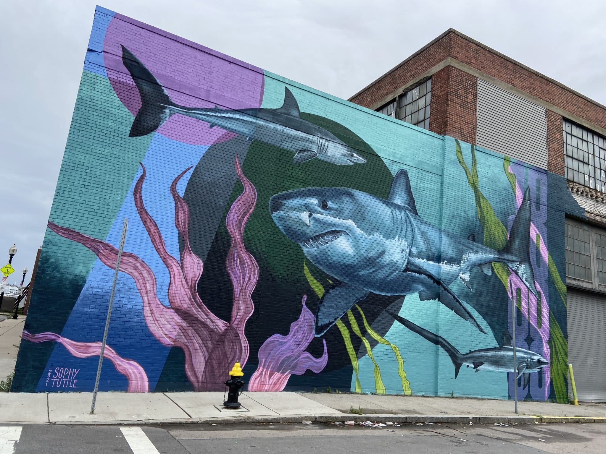 Sea Walls: Artists for Oceans brings ARTivism to Boston | Bow Seat 