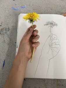 Ely's hand holding a dandelion next to a mirror sketchbook drawing of it.