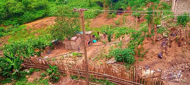 A small, fenced garden with scattered plants, wooden sheds, and a dirt path surrounded by lush greenery.