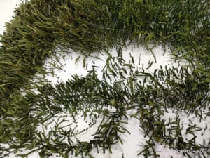 Close-up of artificial grass with varying lengths and shades on a flat surface.