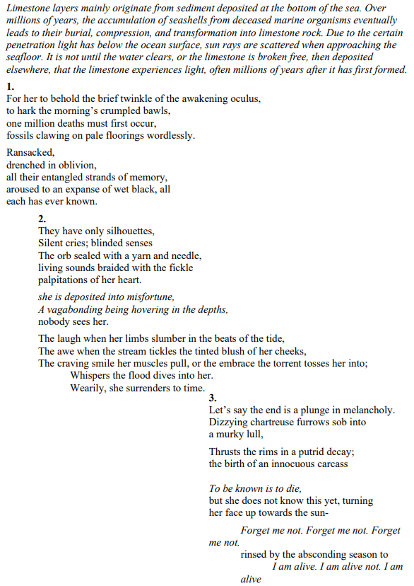 Typed poem on sedimentation, life, and mortality juxtaposed with geological processes. Mention of limestone layers, ocean, fossils, and themes of death and memory.