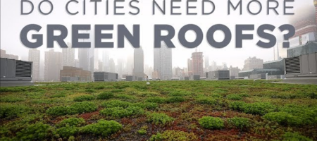 green-roofs