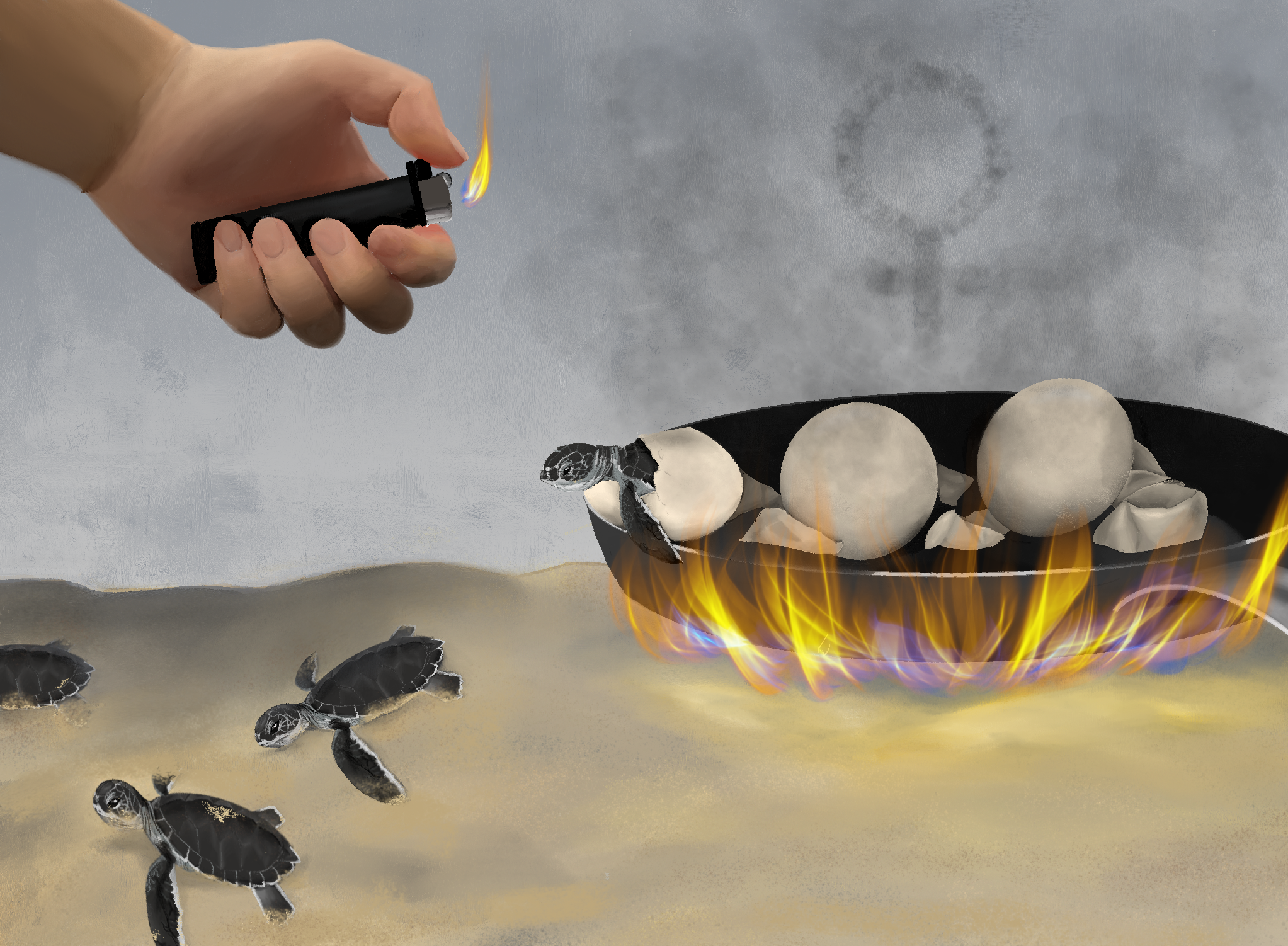 Turtle Toasting Toasted Turtles • Bow Seat Creative Action for Conservation