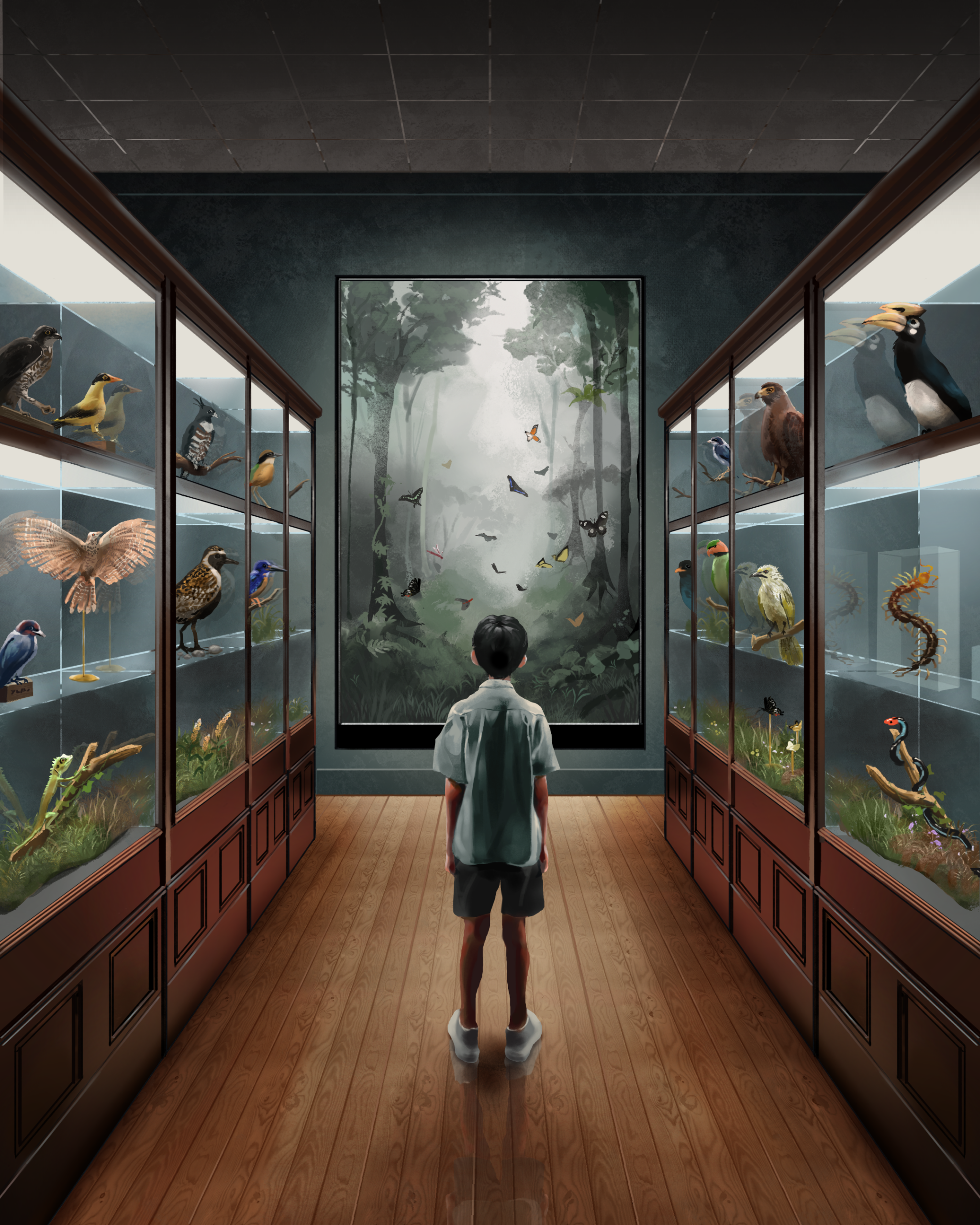 A child stands between display cases of birds, looking at a large mural of a forest scene at the end of a dimly lit room.