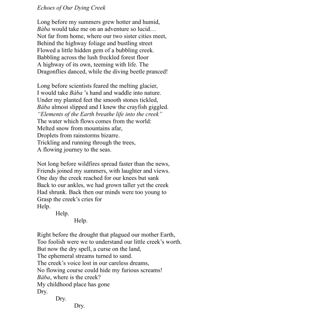 A typewritten poem titled "Echoes of our Own Adventure" by an unknown author, featuring themes of nature, nostalgia, and creeks, displayed on a sheet of white paper.