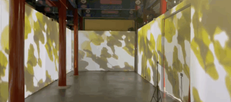 sr-imm-gold_chenyue-zhuang_74565_5