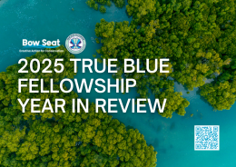 2025-tbf-year-in-review-cover-for-website